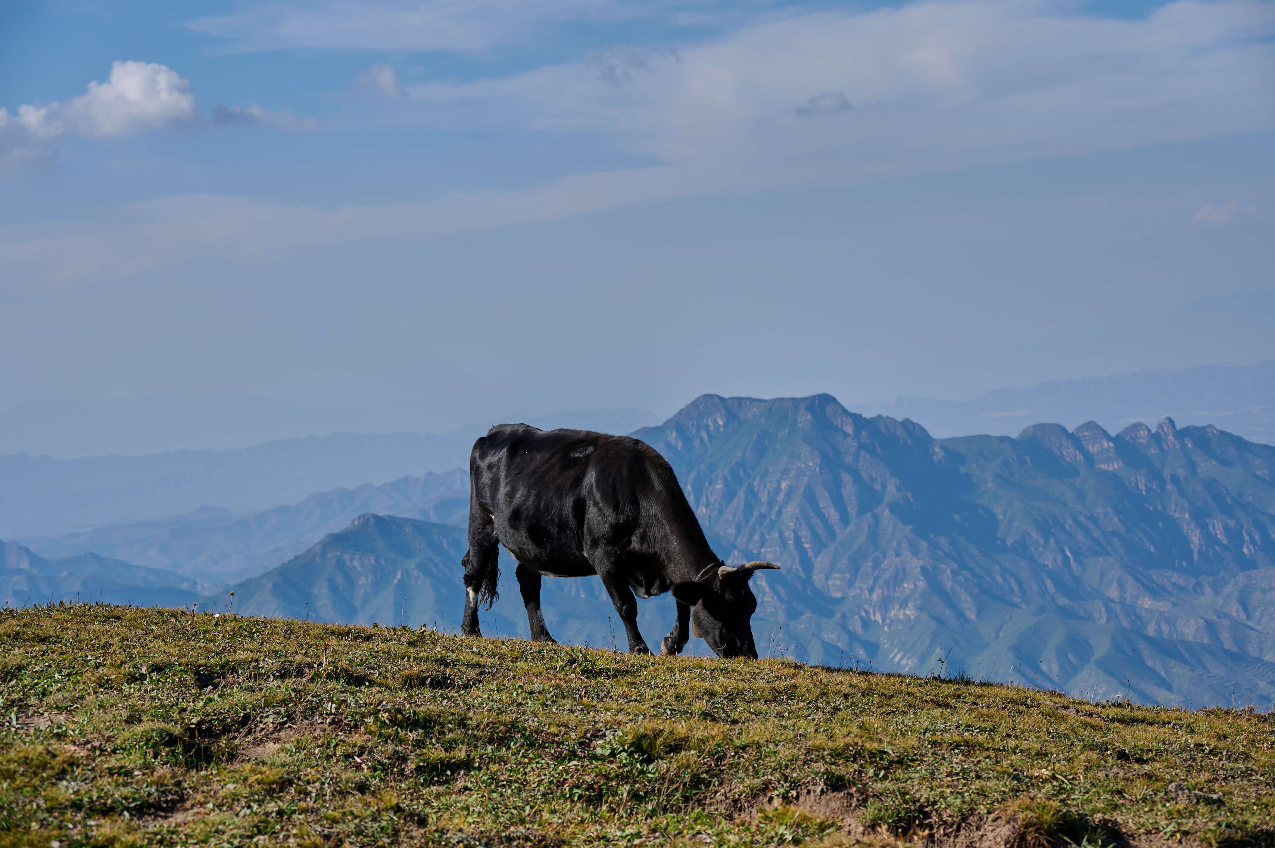 alt 东灵山